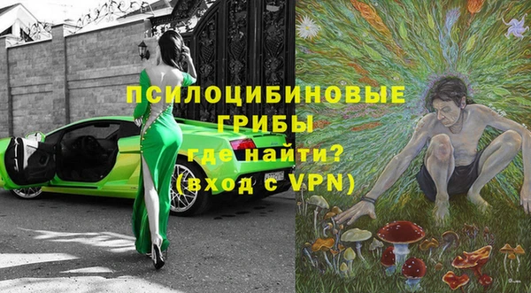 не бодяженный Чегем